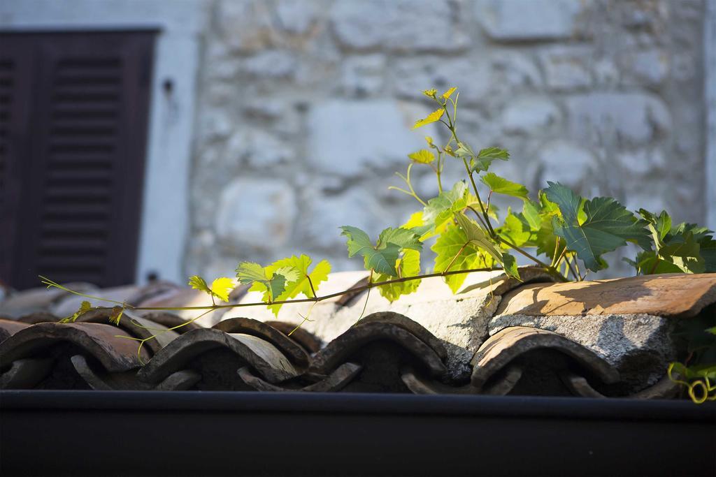 Boutique Hotel Paradiso Filipini Εξωτερικό φωτογραφία